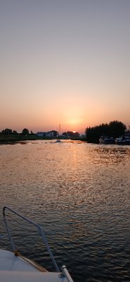 berrymooij's profile picture. 