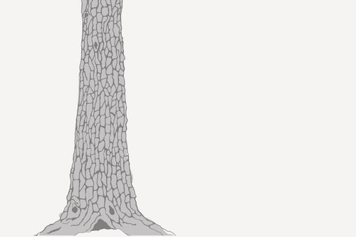 LukasWyszkowski's profile picture. 