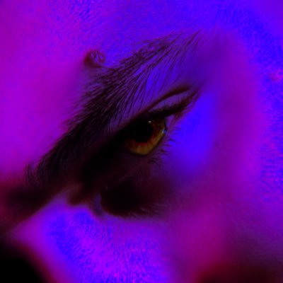 tazzgamma's profile picture. Músico, Arquiteto e Urbanista, Artista Visual e Fotógrafo | Ouça My Mind After Midnight e +