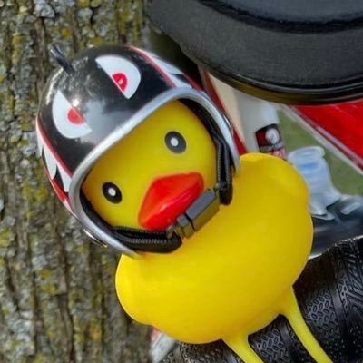 SirQuacksALotil's profile picture. Just a place to journal my thoughts. Opinions are my own | @optionflowjoe #1 Fan | I hate everyone