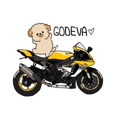 GoDevA__'s profile picture. 