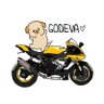 GoDevA__'s profile picture. 
