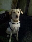 franton6carly's profile picture. 