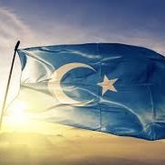 حافظ امين (@erzrmlq25) Twitter profile photo