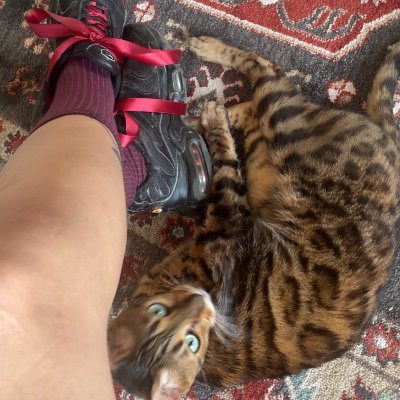 soutiftroppetit's profile picture. en simple kiffance