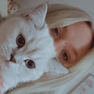 digitalshwty's profile picture. 🪷