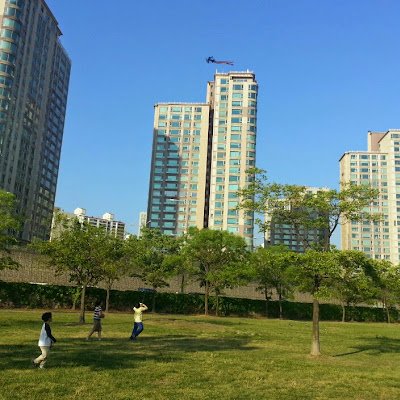 flysea71's profile picture. 