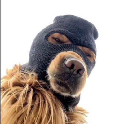 ANFIELD0002's profile picture. 