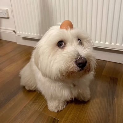 ackrooner's profile picture. 