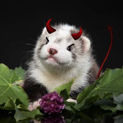 snoodful's profile picture. get sillay #CreamerNation #FREELUIGI #monkeybusiness