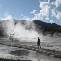 Dave J 🇺🇸 🇮🇱 (@mag40444) 's Twitter Profile