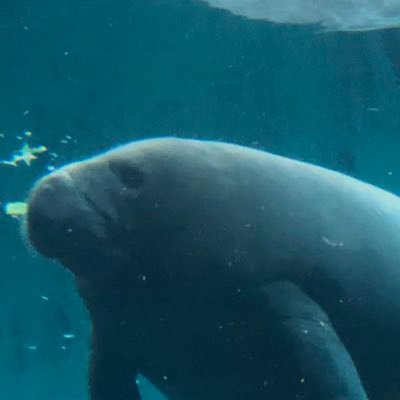 ILo1z1cHp0Udye3's profile picture. 