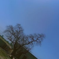 Shy Girl (@shygirl669870) 's Twitter Profile