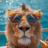 ceoofdefi's profile picture. “Ceo Of DeFi — Be Your Own Bank. Build Real Freedom.”