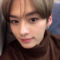 lice viu o skz 3x (@minhoosaurus) 's Twitter Profile