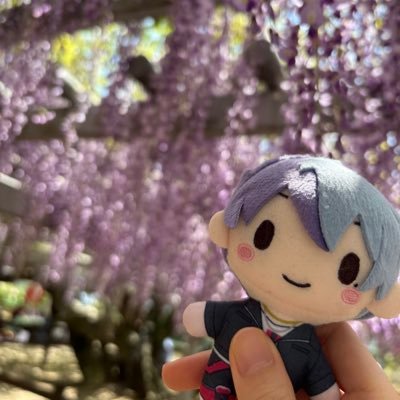 @Kaede_poketui