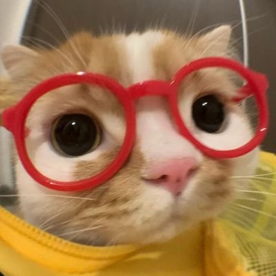 ber not bearさんのプロフィール画像