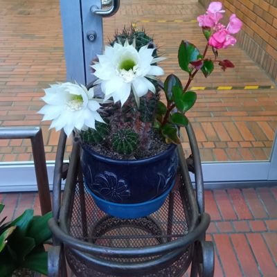 TamiyoshiK16523's profile picture. 生まれは佐賀県です。