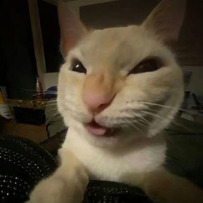 nasposmeguil's profile picture. 