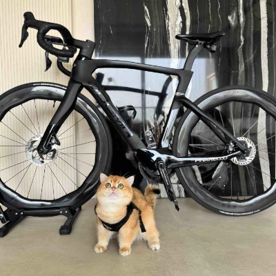 🚴♂️ サイクリング好き | アメリカ在住
🇯🇵 日本文化に興味があり、日本語勉強中 ✍️
旅行 · カフェ · 日々の小さな冒険
一緒に旅を楽しみましょう 🤍