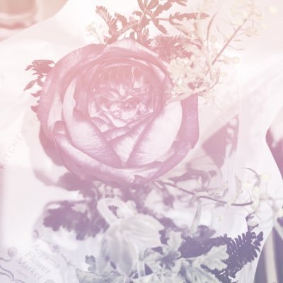 tmnt2212's profile picture. 主にアルゼンチンタンゴのことを呟きます