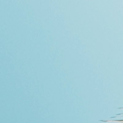 StaryNight993's profile picture. Nothing