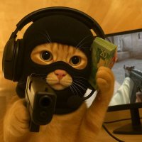 HAZY (@h4zym4y) 's Twitter Profile
