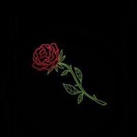 solventless (@_solventless) 's Twitter Profile
