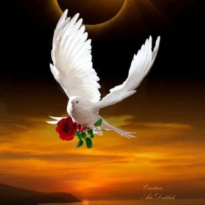 Christo19781515's profile picture. Every day is a fresh start.": Embrace each day as an opportunity for growth and new beginnings.