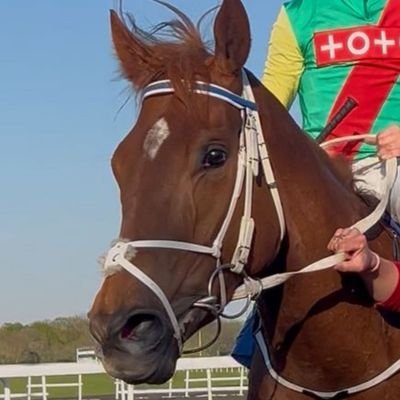 Part-Time Race Analyst for the best Newmarket Trainer.
A winning strategy is best built upon possibilities, ....not probabilities