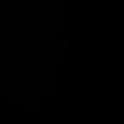 Joey_0806's profile picture. 