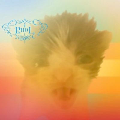 He/Him Aaaaaaaa 21 I do art on @cosmothtwt hehe and my private is @PHILS_PRIV :3
