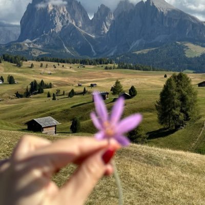 The meaning of travel lies in the scenery and unexpected encounters along the way