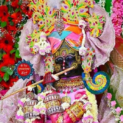 ज़िंदगी हर कदम, एक नई जंग है..💯
|| सनातनी || राष्ट्र प्रथम🇮🇳 || @narendramodi
||🦚રાધે રાધે || #जयश्रीकृष्णा || #महादेव ||
