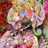 imRajeshpurohit