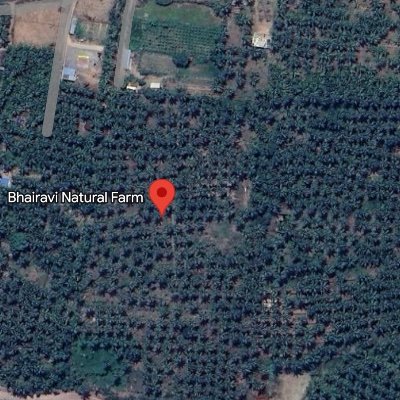 Bhairavi farm offers stay-learn-work from farm opportunity. 15 kms east from the town of Pollachi, about an hour from closest western ghat range and coimbatore
