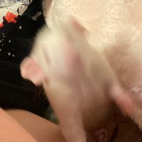 AlienPaw/ファンシーラット (@paw_alien19581) 's Twitter Profile