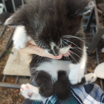 kuntz_jessie's profile picture. 