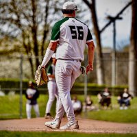 anthony paese (@paeseanthony) 's Twitter Profile