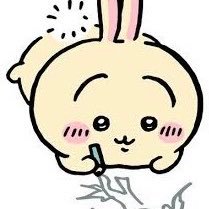 ちゃぴくん (@chapi630613) / Posts / X