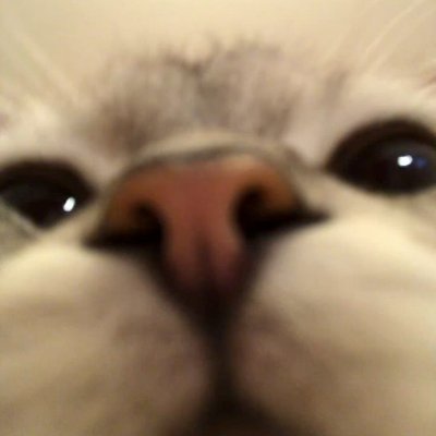 Melody758791033's profile picture. 