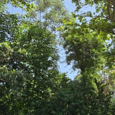 bequieta's profile picture. Sonsuza kadar Atatürk ve ilkeleri. Nokta(.) net!