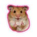 sal☆ (@taskbysallie) Twitter profile photo sal☆ (@taskbysallie) Twitter profile photo