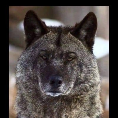 scott_davi9448's profile picture. 