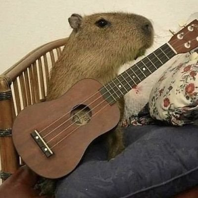 heloworld195781's profile picture. 