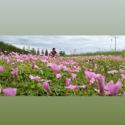 Jessica78350920's profile picture. 