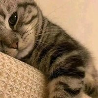 Enjiass (@ceooo12345) 's Twitter Profile