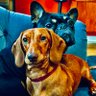 loulou14880990's profile picture. Home / kids (#3) / NUFC / craft beer / Bit of Crypto