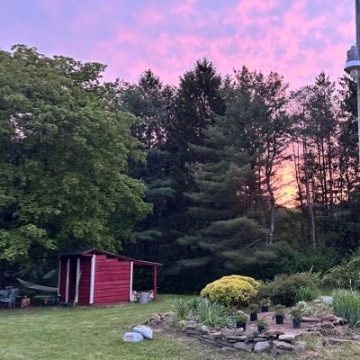 ThatClearyFella's profile picture. 🇮🇪 LFC #YNWA