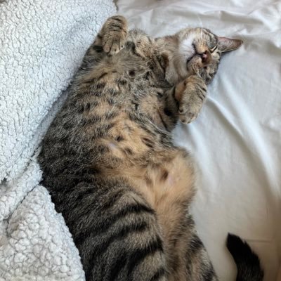 asean_us's profile picture. 